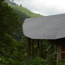 the project building juts out into the cloud forest