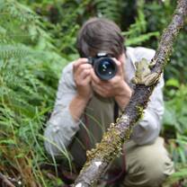 A volunteer photographs a spikethumb frog