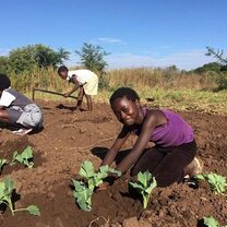 young girls of Africa taught on livelihood through vegetable planting