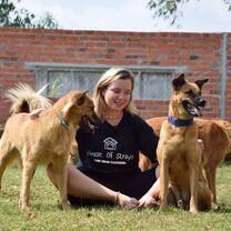 Volunteer at the dog shelter in Cambodia