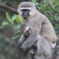 Toni with Foster Mum Apie