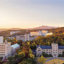 Korea University