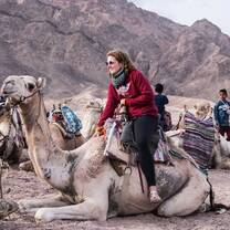 riding camel