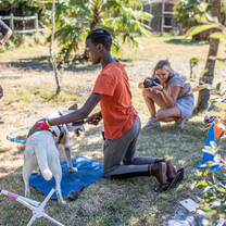 Impact Photography volunteer taking a picture of a boy and his dog