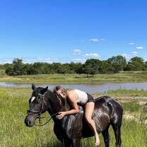 Horse Swim