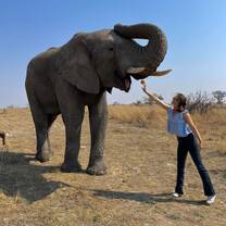 Elephant interaction 