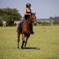 Polocrosse