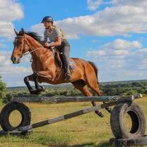 Showjumping