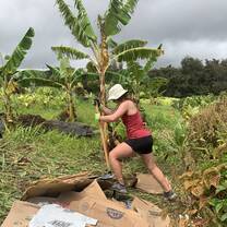 ARCC Hawaii Gap Semester