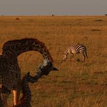 ARCC East Africa Gap Semester