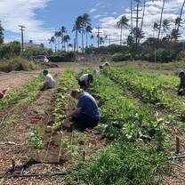 ARCC Hawaii Gap Semester