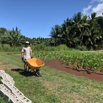 ARCC Hawaii Gap Semester