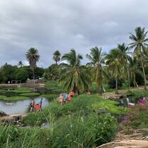 ARCC Hawaii Gap Semester