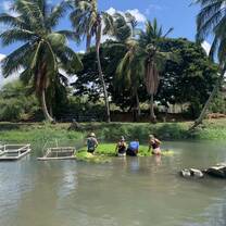 ARCC Hawaii Gap Semester