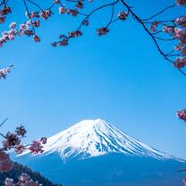 a snowcapped mountain rises in the background, while pink cherry blossoms surround the frame of the photograph