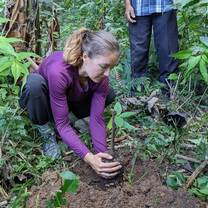 planting trees