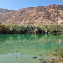 Oasis View