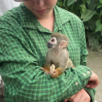 Animal care in Tena