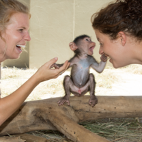 Volunteers lucky enough to enjoy time with the new arrivals before surrogacy starts 