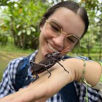 Insects the size of your hand!