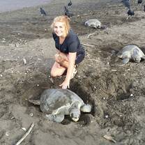 Sea Turtle Conservation