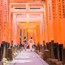 Bamboo Forest
