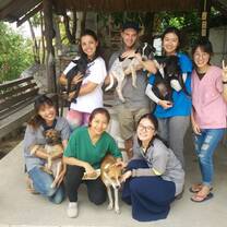 Dogs