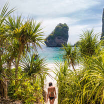Phi Phi Beaches