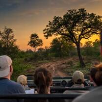 group of volunteers going for a safari ride in South Africa
