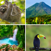 Discover Costa Rica's wildlife