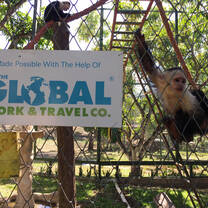 Monkey Rehabilitation
