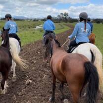 Polo set training from horseback