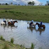 Relaxing in the creek after a day's cattle mustering