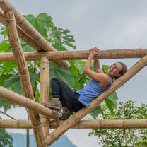 bamboo climber