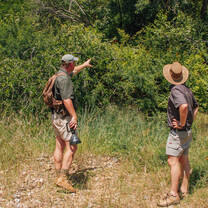 Bush Hikes