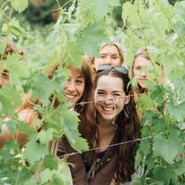 San Donato's vines 
