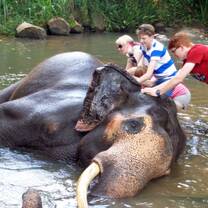 Elephant Sanctuary