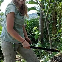Agroforestry system free of poisonous products
