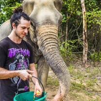 Elephant Sanctuary