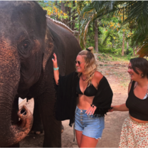 Elephant Sanctuary