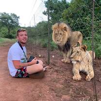 Lions