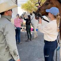Learning to tack up polo ponies