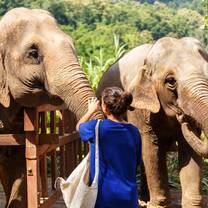 Elephant Sanctuary