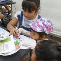Vive Peru Health Fair