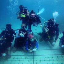 Coral restoration