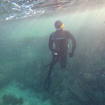 freediver