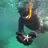 freediver with star fish
