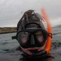 freediver with crab on the head