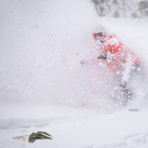 Japow!