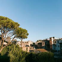 A view that shows trees and buildings